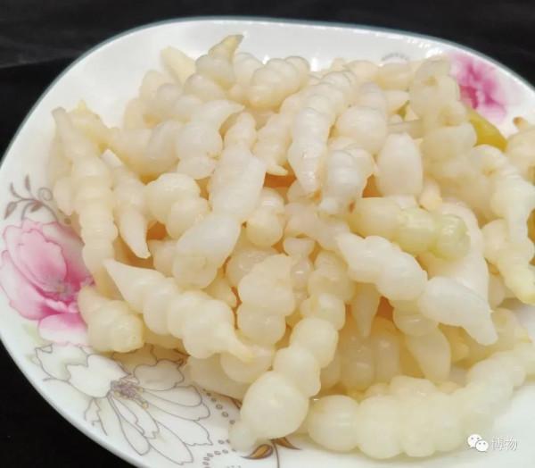 螺絲菜的“螺紋”是人工扭的嗎? 螺絲菜的“螺紋”是人工扭的嗎?