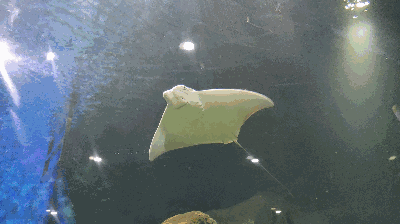 五個神奇的自然現象,如果遇到棋盤一樣的海浪,請馬上離開 五個神奇的自然現象,如果遇到棋盤一樣的海浪,請馬上離開