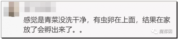 崩塌吐了！麥當勞餐盤不洗、食材過期、奶漿漏3天還繼續用