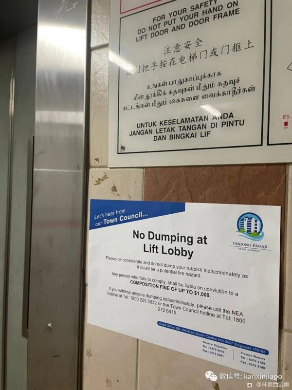 千萬不要在新加坡隨意丟垃圾，罰款竟然這麼高