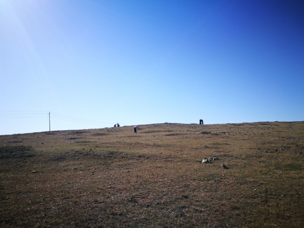 撿瑪瑙,來內蒙古火山草原,讓你撿得不想回家 撿瑪瑙,來內蒙古火山草原,讓你撿得不想回家