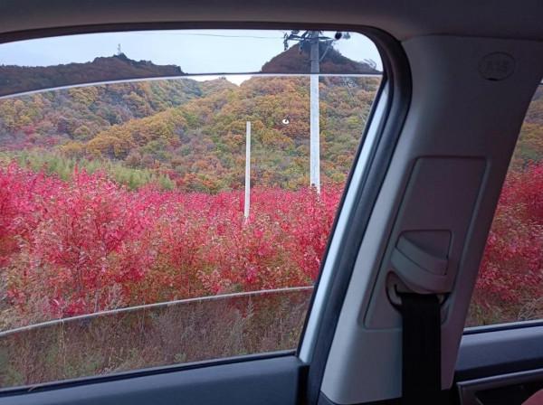 帶著我的大白,享受不同的風景 帶著我的大白,享受不同的風景