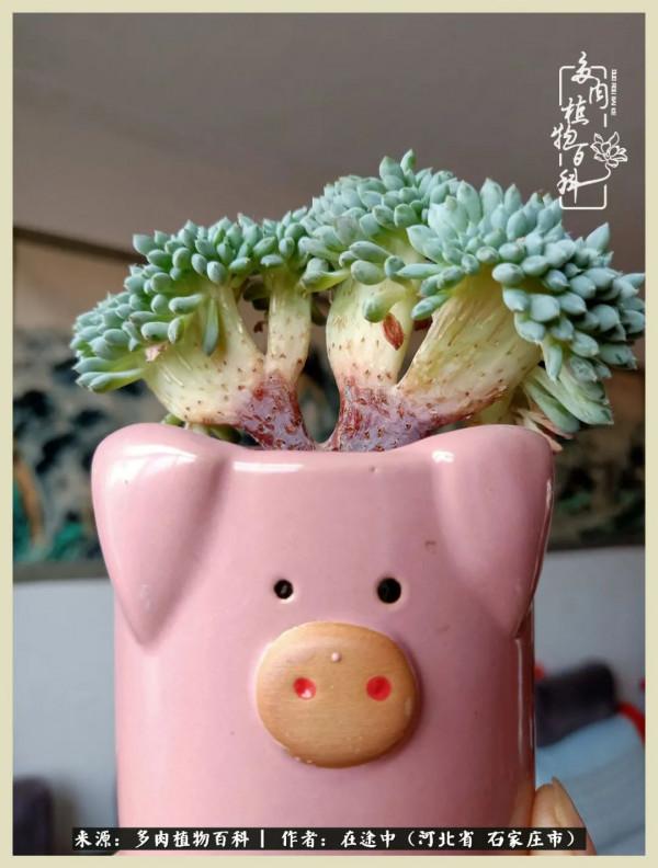 落葉知秋,願你安好 落葉知秋,願你安好