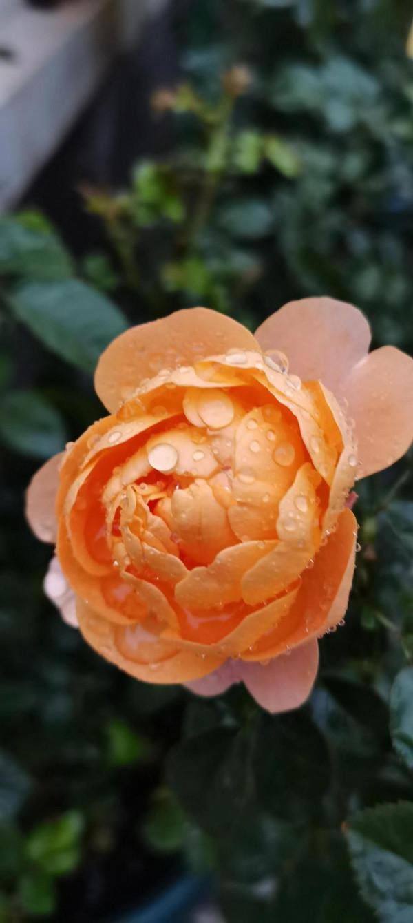 不是老歌好聽了，而是聽歌的人有故事了