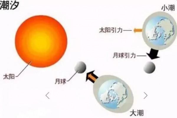 乾貨!如何利用潮汐釣魚? 乾貨!如何利用潮汐釣魚?