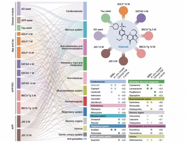 來氟米特，治療類風溼的一大利器，怎樣用安全又有效？