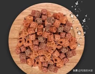 水草缸水體渾濁？原因在這。魚缸造景入門十五：水體渾濁原因