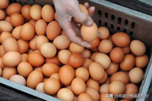 雞蛋：跌價清庫，低價促銷