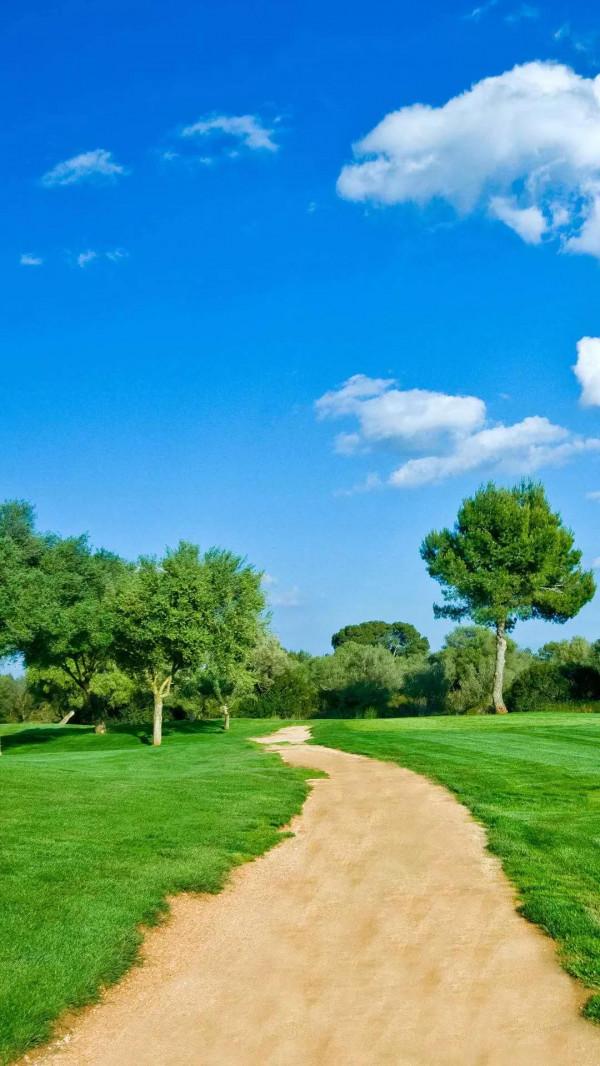 觀賞美麗的風景 觀賞美麗的風景