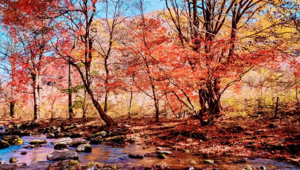 北方10強城市榜單：3個省會城市成績亮眼，東北僅一城上榜