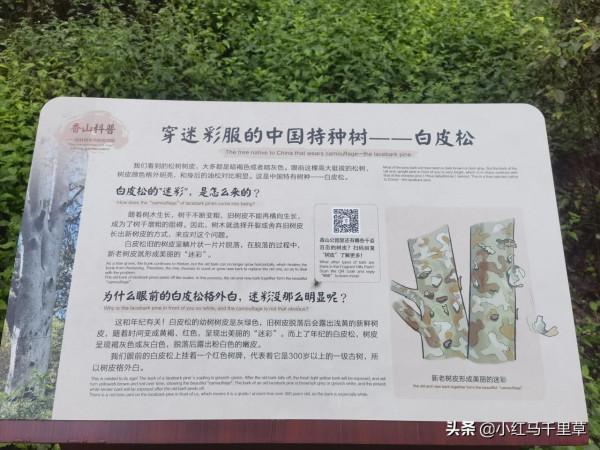 北京行記(十二)香山公園(上)——勤政殿、靜翠湖、大永安禪寺 北京行記(十二)香山公園(上)——勤政殿、靜翠湖、大永安禪寺