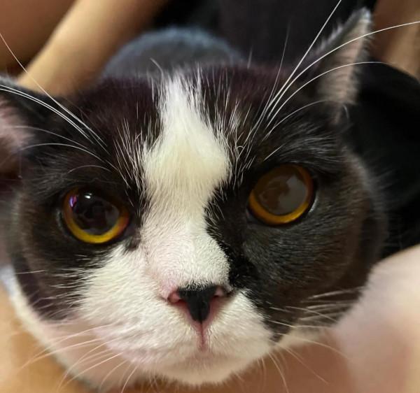 為什麼回答問題總是發不上去呢？苦惱☹️這一篇是回答健康減肥