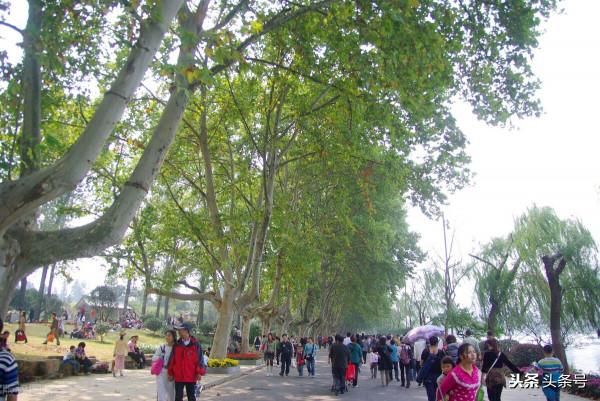 《父輩的青春》11