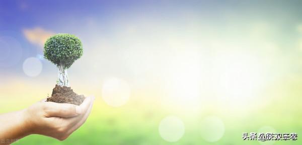 不計成本,不算效益,投巨資開山造田到底值不值? 不計成本,不算效益,投巨資開山造田到底值不值?