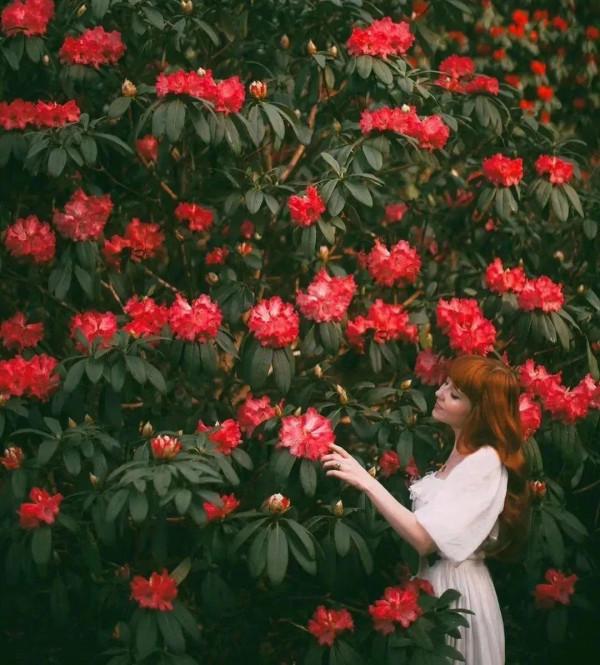 7種&OpenCurlyDoubleQuote;土豪花&rdquo;，貴的太離譜，工薪族&OpenCurlyDoubleQuote;捨不得&rdquo;，看看解解饞