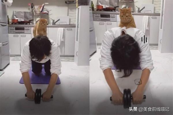 橘貓變成魔鬼教練，做運動的奴才：七公斤的負擔好重