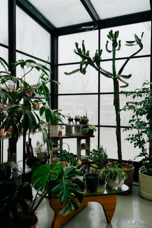 亮馬河畔這個北京老紡織倉庫群，一個被低估的寶藏拍照地