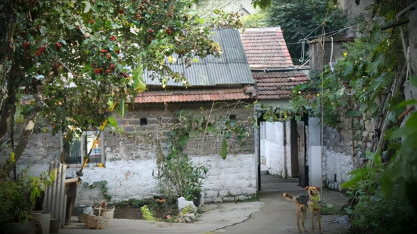 陝西發現古代墓葬群，出土17座大型古墓，墓中景象讓人揪心