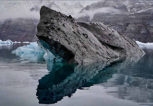 34張罕見的照片,老虎被訓得動都不敢動,小狗指揮主人倒車 34張罕見的照片,老虎被訓得動都不敢動,小狗指揮主人倒車