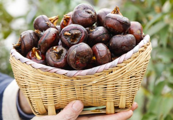 過年回家飯局多，記得避開這6種飯桌上常見的寄生蟲