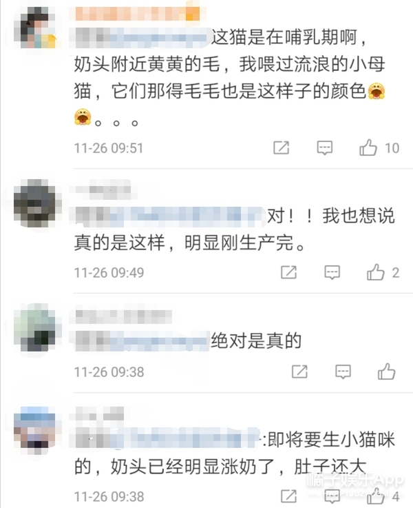 於正劇組淹死鸚鵡毒死貓,《當家主母》P影片回應?炒作無下限? 於正劇組淹死鸚鵡毒死貓,《當家主母》P影片回應?炒作無下限?