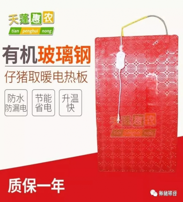 冬季豬場保溫工作怎麼做？看這一篇文章就夠了