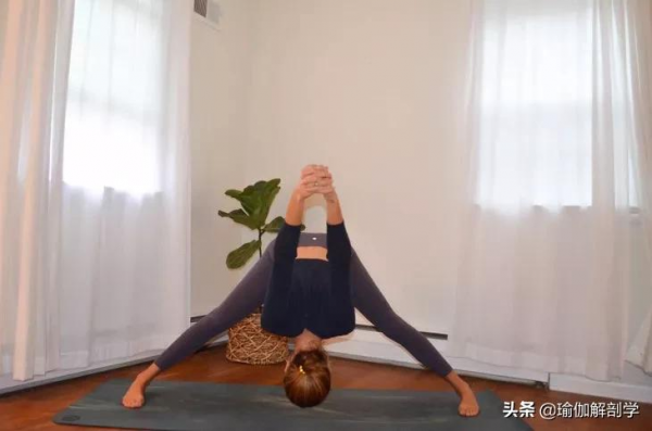 身體「僵硬」練不了瑜伽？9個動作帶你入門