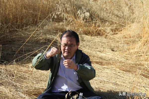 “去三江源國家公園見到野生動物的機率是100%”,他為何能自信承諾? “去三江源國家公園見到野生動物的機率是100%”,他為何能自信承諾?