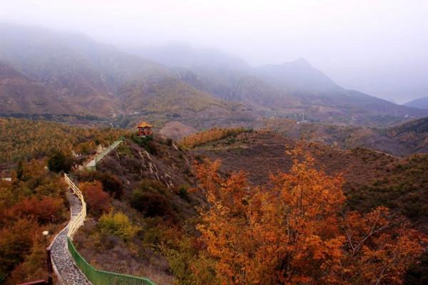 貫穿美景的靈魂公路,房山最“紅”賞秋打卡地 貫穿美景的靈魂公路,房山最“紅”賞秋打卡地