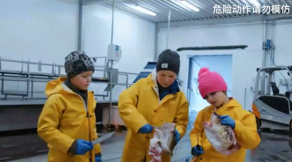 這就是挪威人的童年:10歲就可以靠自己買遊艇,中國小孩羨慕哭了 這就是挪威人的童年:10歲就可以靠自己買遊艇,中國小孩羨慕哭了