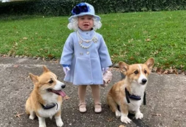 美國1歲女孩被媽媽打扮成英女王,照片寄到王室後引女王本人回覆 美國1歲女孩被媽媽打扮成英女王,照片寄到王室後引女王本人回覆