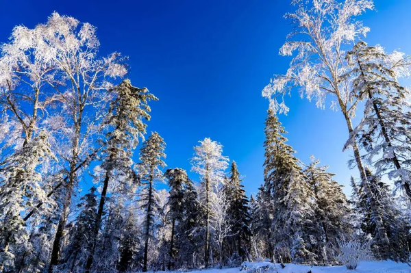 適合冬天的12條小眾自駕路線，人少景美，年末，選一條就出發吧