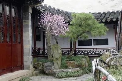 耐耐老師講故事 |《小桃樹和小松樹》