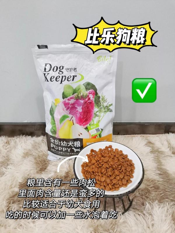 2021狗糧測評｜壞糧原來這麼多