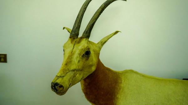 潮州潮安,哪些景點必須打卡?這裡看過來 潮州潮安,哪些景點必須打卡?這裡看過來