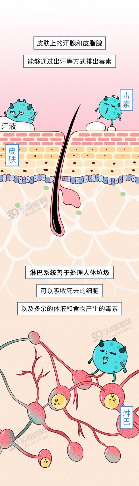 中醫2個藥材，有效補氣排毒，“體毒”沒了，便秘等症狀就緩解了