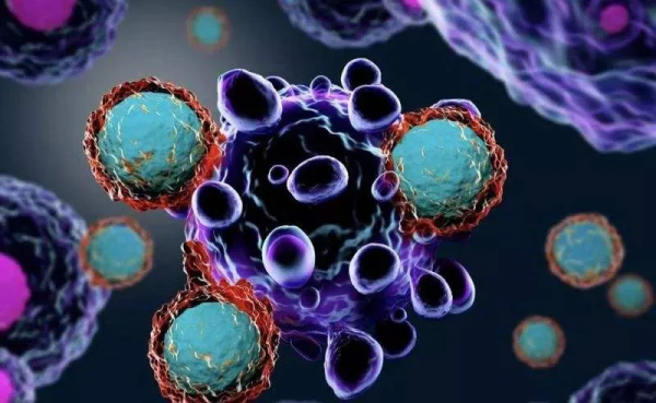 為什麼說山藥最適合反覆呼吸道感染的孩子吃