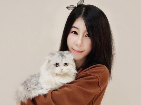 養貓一個月開銷多少？需要做哪些準備？資深鏟屎官為您解答