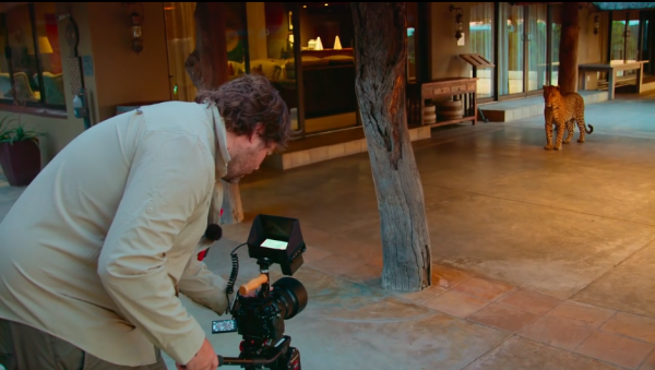 當人類消失，地球會發生什麼？