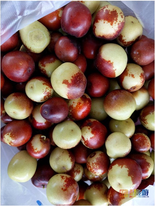 今年多雨水,棗子珍貴的很~京城這幾家棗園留住了秋日的甜蜜 今年多雨水,棗子珍貴的很~京城這幾家棗園留住了秋日的甜蜜