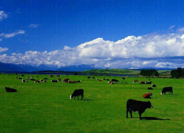 主要氣候型別，最惡劣的氣候只下雪不下雨，風速360千米每小時