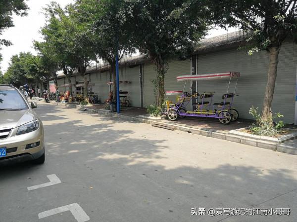 沿著岸邊的步道，貼近廣闊的自然水域，開始在海鷗島上的環島騎行