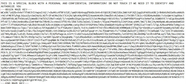 惡意軟體開發者主動公開Maze&sol;Egregor&sol;Sekhmet解密金鑰