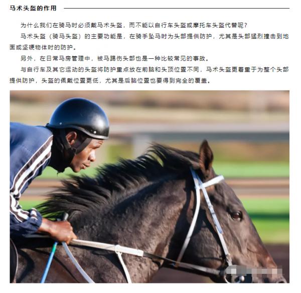 ASTM F1163馬術頭盔測試標準 ASTM F1163馬術頭盔測試標準