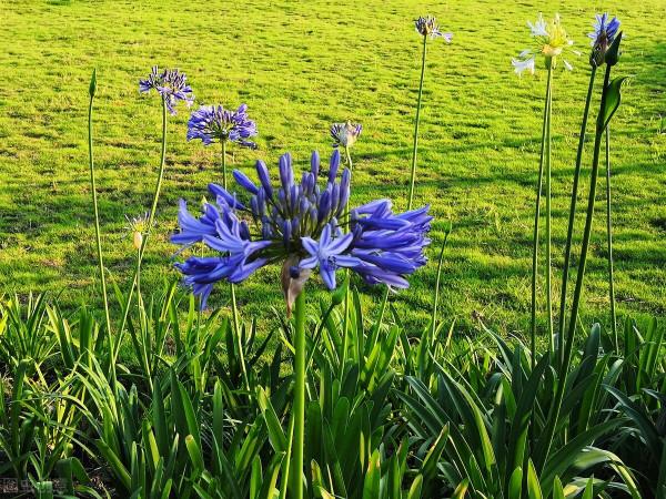 兩難抉擇案例:人生之禮,與其奢華不遜,毋寧簡單粗樸 兩難抉擇案例:人生之禮,與其奢華不遜,毋寧簡單粗樸