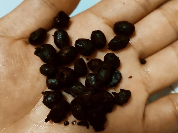 全職寶媽忙到沒時間做飯?這幾個簡單又美味的高壓鍋食譜查收一下 全職寶媽忙到沒時間做飯?這幾個簡單又美味的高壓鍋食譜查收一下