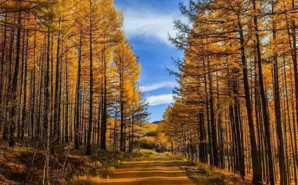 國內最美的12個旅行地,去過10個就是旅行達人,你去過幾個? 國內最美的12個旅行地,去過10個就是旅行達人,你去過幾個?