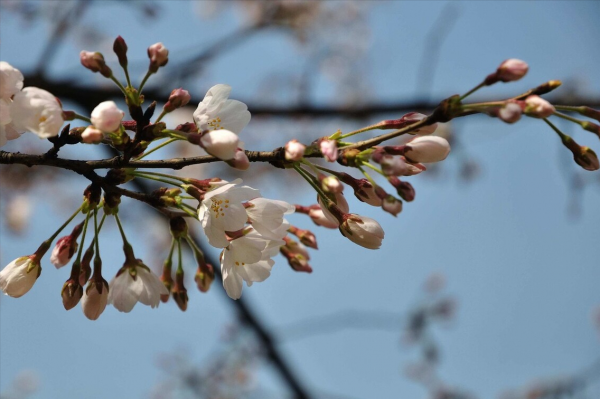 學會這些小技巧，養生再也不煩惱