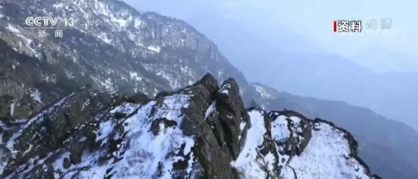 神農架川金絲猴 從“冰川遺孤”到“最美靈長部落” 神農架川金絲猴 從“冰川遺孤”到“最美靈長部落”