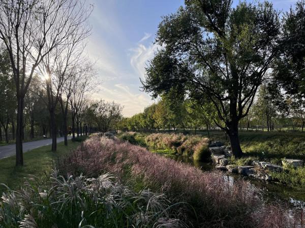 iPhone 13拍照實戰體驗：色調真實，想要高飽和度也沒問題